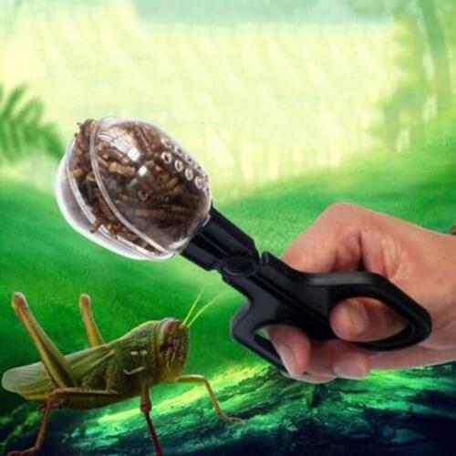 Reptile Terrarium Spider Cricket Clamp Aquarium Litter Feeding Cleaning Tool New