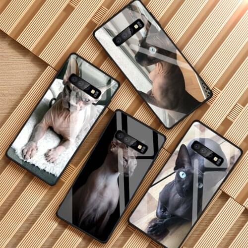 Sphynx Sphinx Cat Tempered Glass Phone Case For Samsung Galaxy S8 S9 S10 S20 PLUS J6 J8 2018 NOTE 8 9 10 Cover Shell