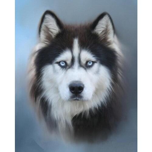 JMINE Div 5D husky dog Full Diamond Painting cross stitch kits art High Quality Animal 3D paint by diamonds