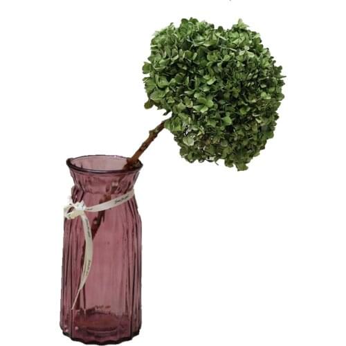 2 pcs Natural Fresh Preserved Flowers Dried Hydrangea Flower Head For DIY Real Eternal Life Flowers Material NO Vase