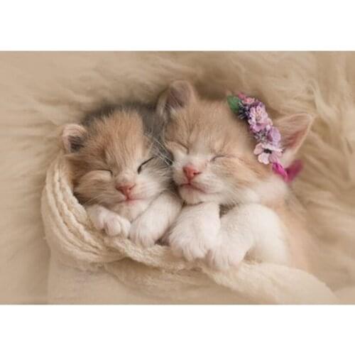 DIY 5D Kitten Cute Pet Pair Diamond Painting Cross Stitch Full Drill Embroidery For Home Decoration Gift GJ4365