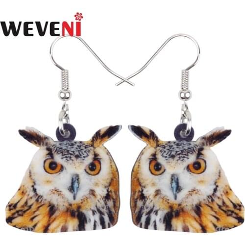 WEVENI Acrylic Cartoon Eurasian Eagle Owl Bird Earrings Cute Long Dangle Drop Trendy Animal Jewelry For Women Girls Charms Gift