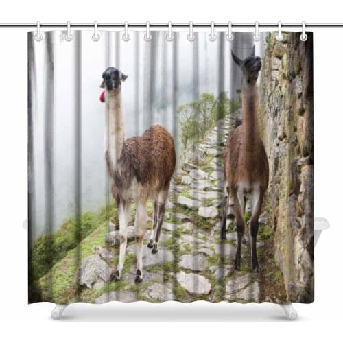 Aplysia Llama at Lost City of Machu Picchu Peru Bathroom Shower Curtain Accessories 72 Inches
