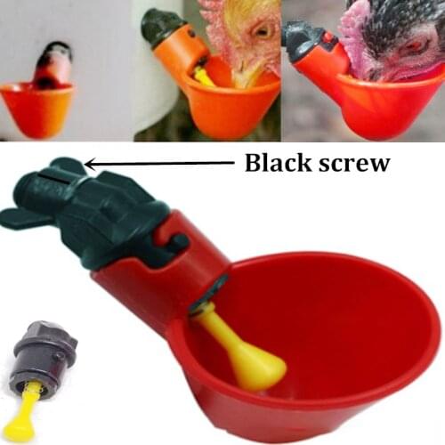 Poultry Drinker Fully Automatic Plastic Suitable for Feeding Poultry Chickens and Pigeons Free Feeding & Watering Supplies