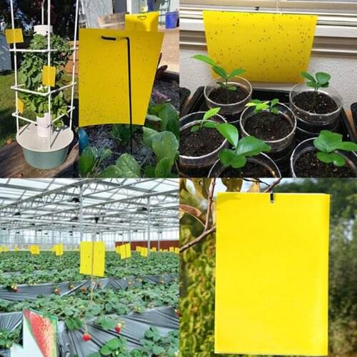 Ловушки N2HAO China At AliExpress