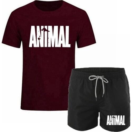 Summer Mens Sportswear Brand Suit Tracksuit Sportswear Casual Wear Men Suit T-shirt +Sports Shorts Quick dry Two-piece