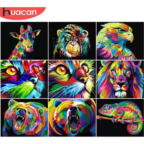 HUACAN Colorful Animals Painting By Numbers DIY Cat Room Wall Art Pictures By Number Monkey For Adults Home Decoration 50x40cm