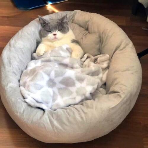 Solid Soft Pet House Dog Bed for Dogs Cats Small Animals Products Cama Perro Hondenmand Panier Chien Legowisko Dla Psa D2290