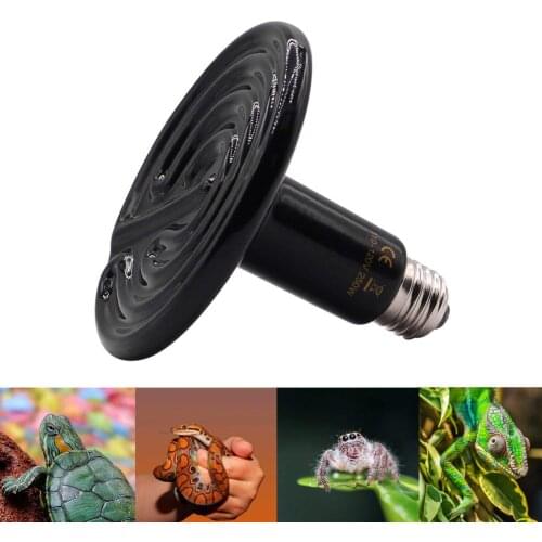 E27 Reptile Heating Lamp Heat Bulb Fixture No Lights Brooder Snake Lights
