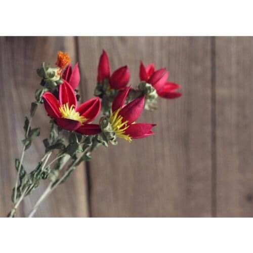 5pcs Cream/Red Hibiscus Shrubalthea Flower Dried Flower For Wedding Party Home Hotel Decoration DIY Bouquet Project Accessory