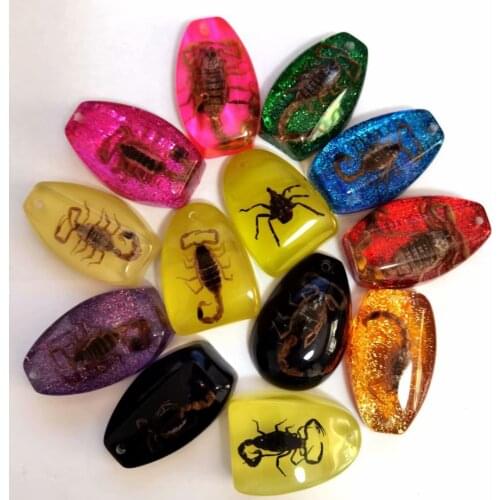 13 pcs fashion real scorpion insect bug mixed style keychain