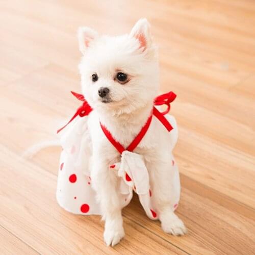 Pet Dog Clothes Dot Clothings Cute Sweet Print Dogs Flower Dresses Super Small Clothing Summer White Suspender Skirt