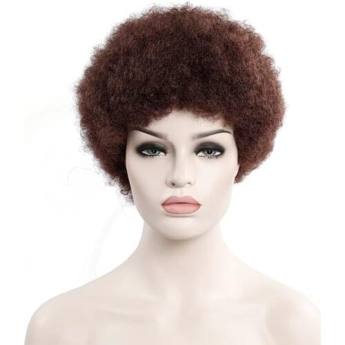 Afro Wig Mens Curly Hair Brown Synthetic Retro Wigs For Women Fluffy Wigs For Women Black Hair