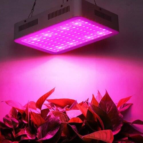 RUOCLN LED Plant Lamps