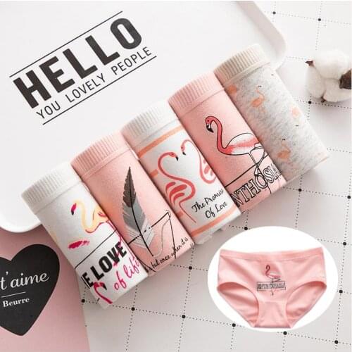 5 Pcs/Lot Cute Cartoon Animals Women Underwear Panties Comfortable Cotton Briefs Girls Sexy Lingerie Plus size Package Hip Panty