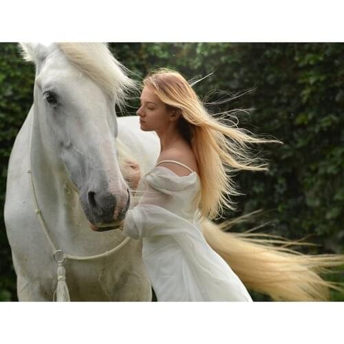 Diamond Embroidery Beauty horse DIY 3D Square Diamond Painting picture Cross Stitch Kits Full rhinestone Mosaic Home Decoration