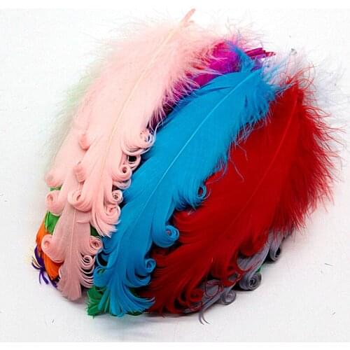 50pcs mixed color color curly Goose Feather HalloweenChristmas wedding costumes hat Decorative materials Feather 10-15cm/4-6inch