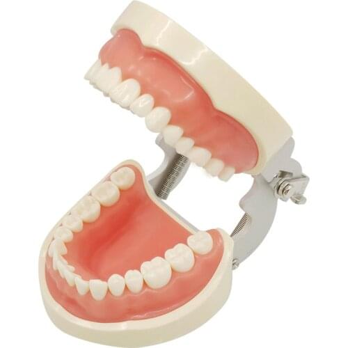 Jingoal Sets For Teeth
