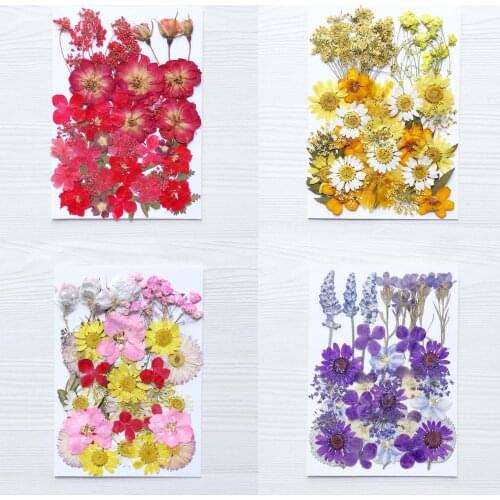 Dried Pressed Leaf Flowers Plant for Diy Epoxy Phone Case Plant Specimen Photo Sticker Handmade Flower Material Set