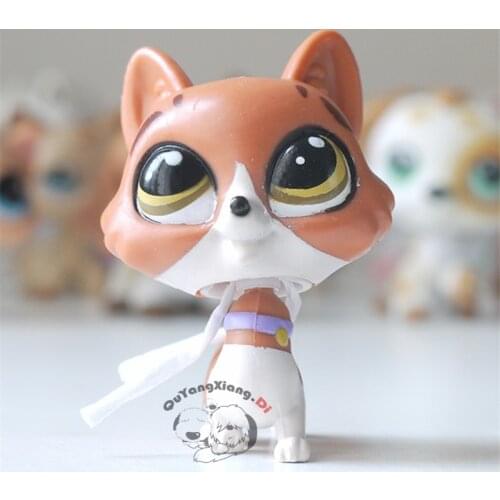 CWM040 Pet Shop Animal naughty cat doll action Figure kitten