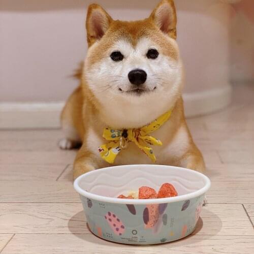 Things for Small Dogs Cat-related Products Beautiful Pattern Melamine Anti-slip Dog Eat Feeder Plates Puppies Dish Cat Food Bowl