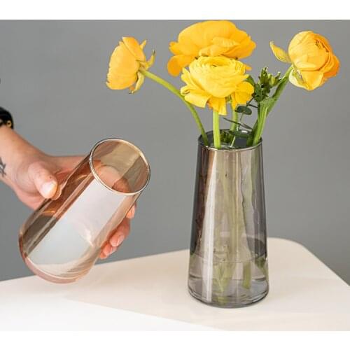 Nordic Glass Vase Creative Colourful Terrarium Small Flower Pot Hydroponic Systems Aesthetic Cute Room Home Decoration