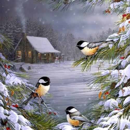 Full Square Round Drill 5D DIY Diamond Painting Bird House Snow Scenic 3D Embroidery Cross Stitch Mosaic Rhinestone Decor Gift