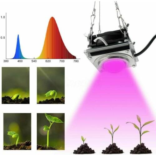 50W COB LED Grow Light Full Spectrum Growth Lamp Succulent Fill Light