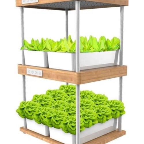 Wooden Bamboo Garden Planters Hydroponics Smart Garden Flower Pot for Plant