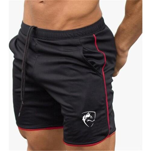 Japan Korea Brand New Summer Running Shorts Men Sports Jogging Fitness Shorts Quick Dry Mens Gym Shorts Sport gyms Short Pants