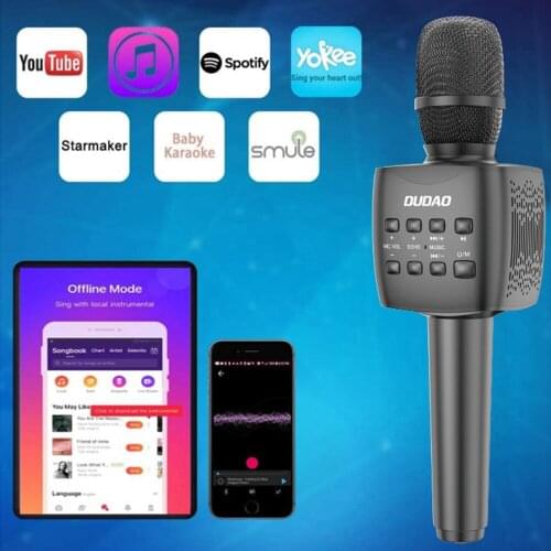DUDAO Microphones
