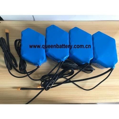 52V10AH 14S2P 21700 50E M50 M50LT M50T E-BIKE battery pack with BMS 20A with DC 5.5X2.1 with XT60 connector