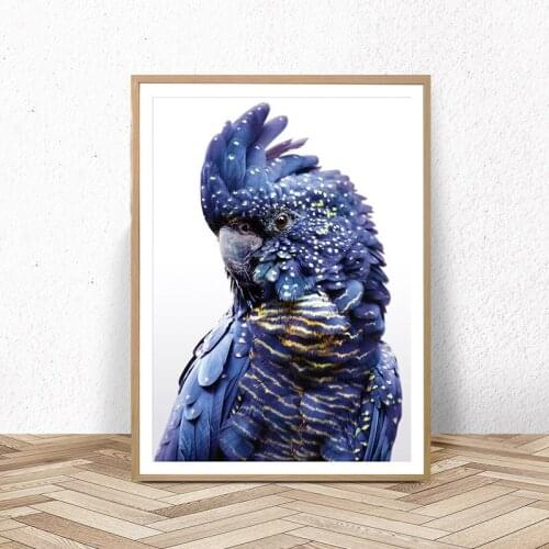 5D DIY square/round Diamond painting parrot Cross Stitch Diamond Embroidery Pattern Rhinestone home decor J1151