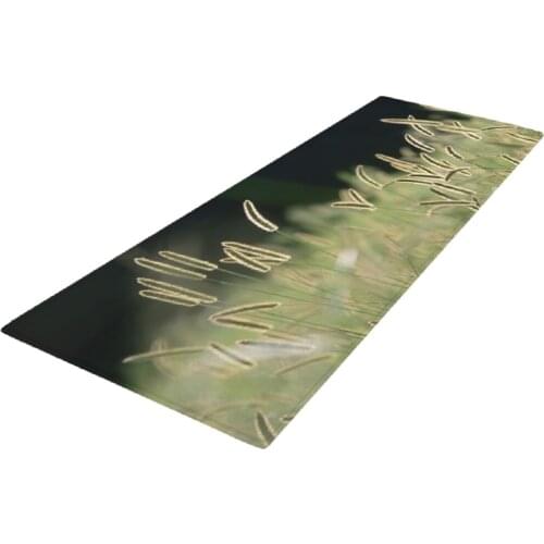 Nature Grass Pattern Front Door Mats Entrance Rug Shoe Scraper Easy-dried