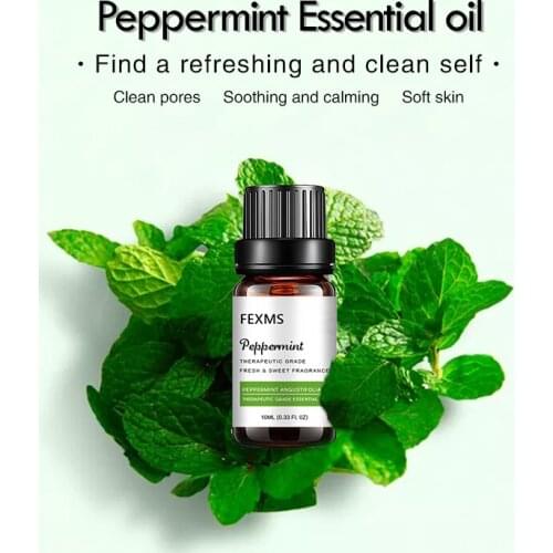 Handcraft Peppermint Essential Oil - 100% Pure and Natural Premium Therapeutic Grade with Premium Glass Dropper