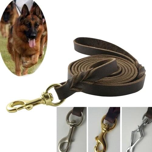 Brown Multifunction Genuine Genuine Leather Pet Dog Leash Luxury Strong Hands Free Leash Lead For Small Large Animals 300x1.8cm