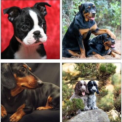 Diamond Painting Dog Full Square Diamond Embroidery Animals Picture Of Rhinestone Cross Stitch Diamond Mosaic Handwork