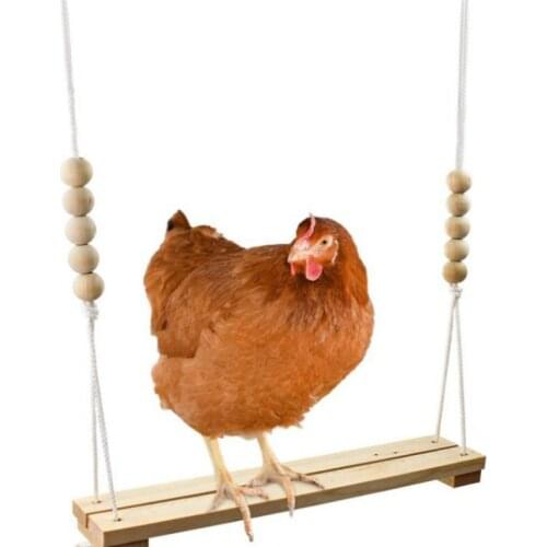 2PCS Large Parrot Swing Pet Chicken Swing Suspension Bridge Ladder Bird Accessories Parrot Toys