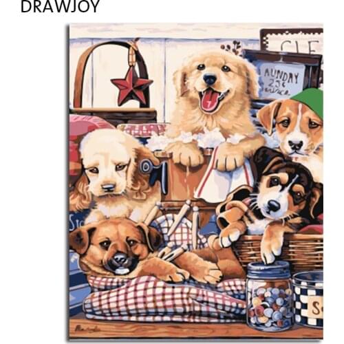 DRAWJOY Framed Picture Painting By Numbers Home Decor Painting&Calligraphy DIY Canvas Oil Painting Wall Art Unique Gift