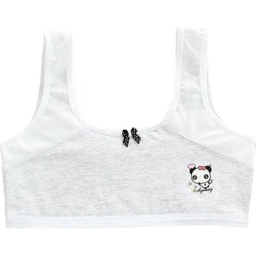 New Style Cotton Cartoon Net Yarn Breathable Girl Bra Developmental Tube Top Children Student Double Layer Bra 8-16 Years Old