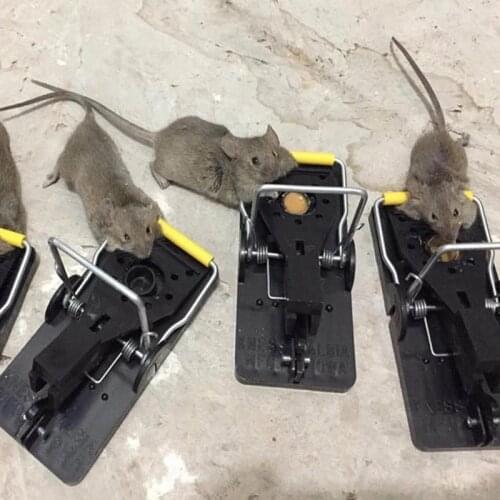 Aleekit Pest Control Products