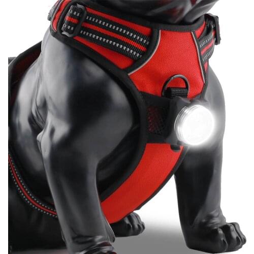 Dog LED Lights Pet Harness Collar Accessories Lighting Night Walk Safety Flashlight Puppy Luminous USB Rechargeable Pet Supplies