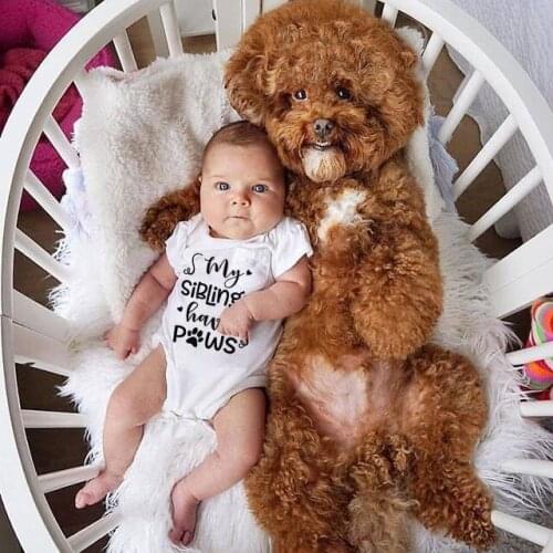 My sibling have paws Infant Newborn Baby Girls Boys Short Sleeve Letter Print Romper Jumpsuit Outfit kids Summer Clothes