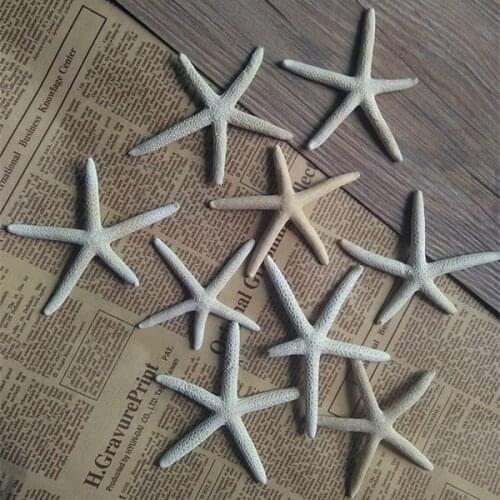 20pcs 5-8cm natural Starfish Real White Finger Star fish Drapery Hold Great for weddings or asymmetry party