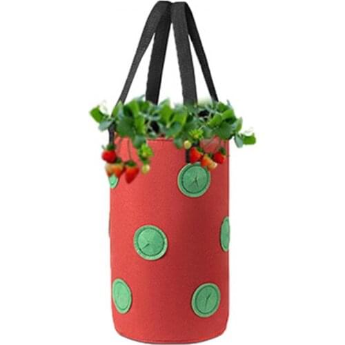 Hot Sale 60% 3 Gallon Non-woven Cloth Strawberry Planting Growing Bag Hanging Plant Pot Pouch