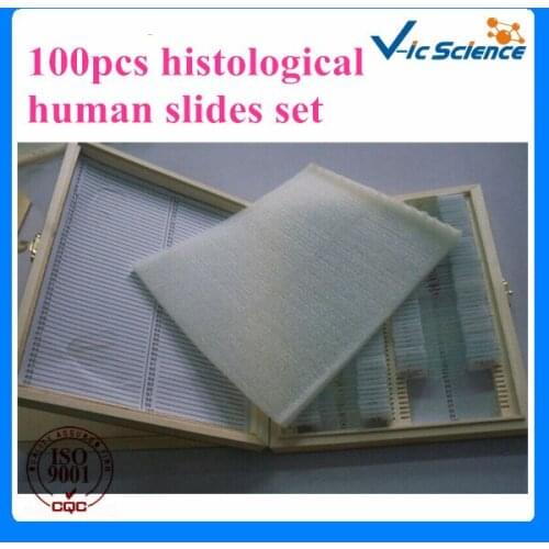 100%Factory 100pcs histological human slides set