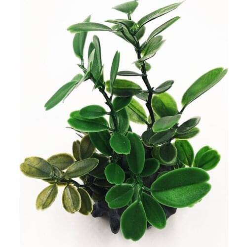 New Artificial Aquarium Decoration Water Plant Decor Fish Tank Accessories Grass Ornament 1 pc