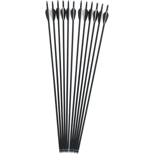 12 Pcs Archery Fiberglass Arrow 80cm Spine 500 Replaceable Arrowhead OD8mm ID6mm For Recurve/ Compound Bows Hunting Archery