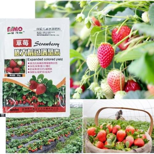 1pcs 30g Strawberry Fertilizer Supplemental Plant Nutrition Hydroponics Home Garden Sweetener Expanded Fruit Rapid Rooting