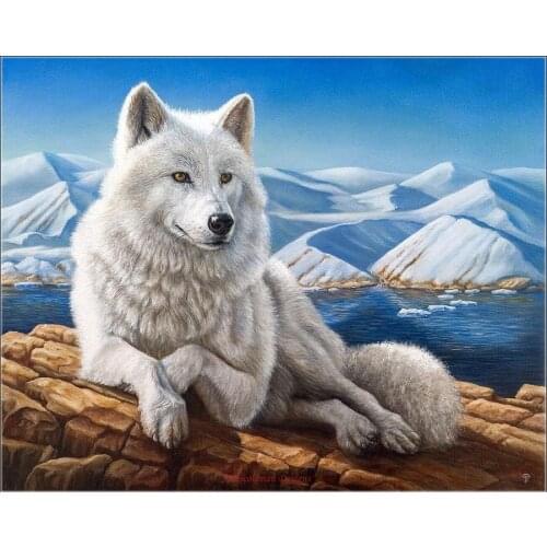 Embroidery Counted Cross Stitch Kits Needlework - Crafts 14 ct DMC DIY Arts Handmade Decor - White Wolf